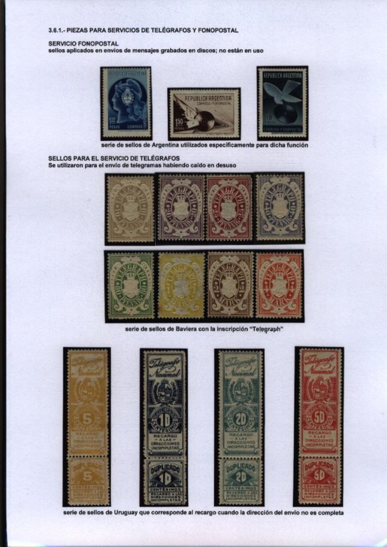 photo13.jpg