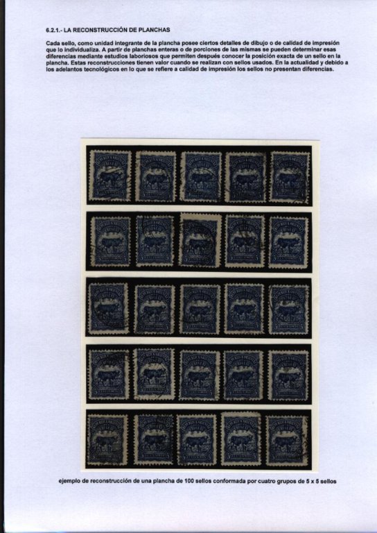 photo28.jpg