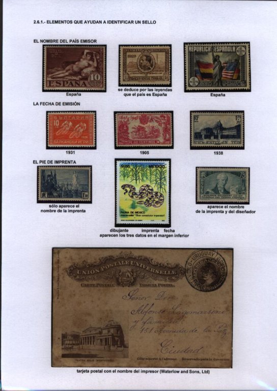 photo7.jpg